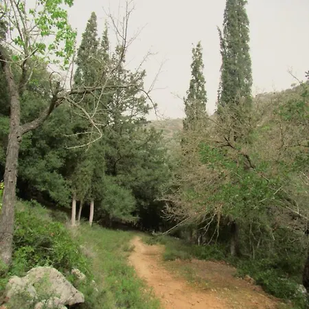 Jean's Cretan Kalon Khorion